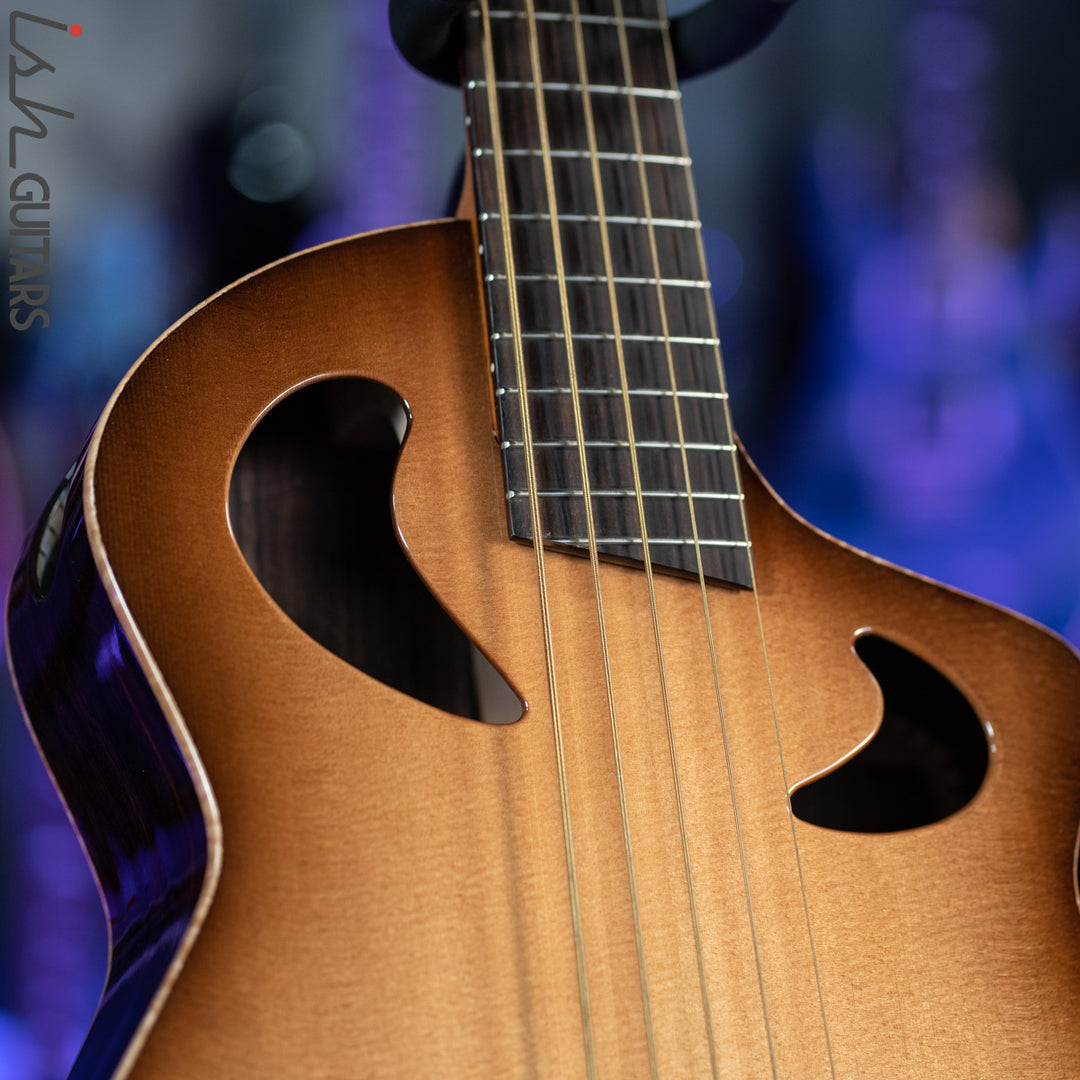 Veillette Acoustic 5 String Bass Guitar Brazilian Rosewood Tobacco Sunburst