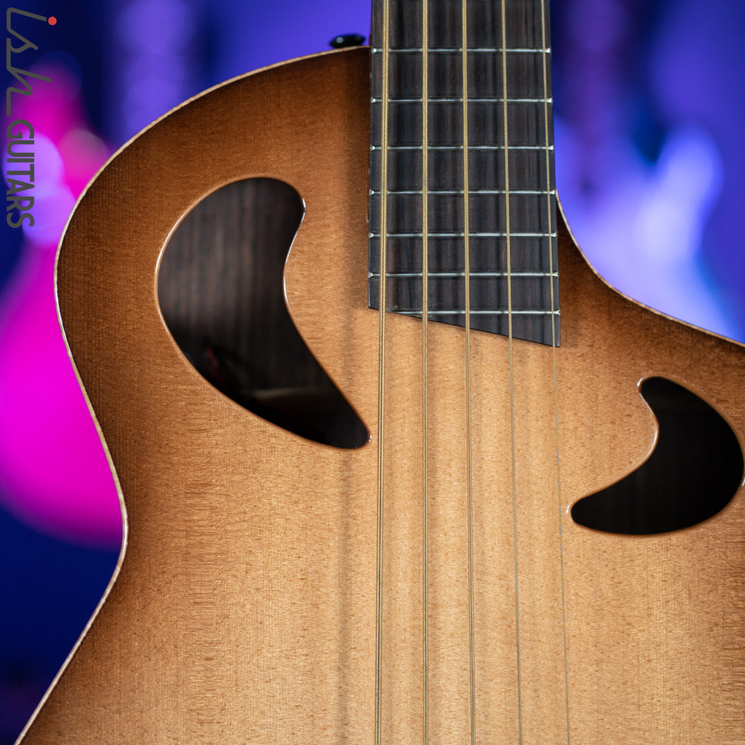 Veillette Acoustic 5 String Bass Guitar Brazilian Rosewood Tobacco Sunburst