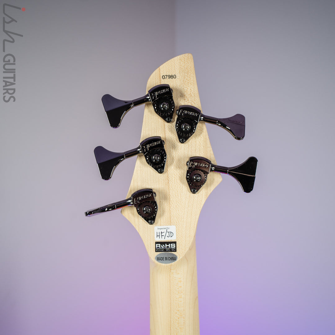 Dingwall 10th Anniversary Combustion 5-String 2 PUP Amethystburst Pau Ferro Fretboard B-Stock