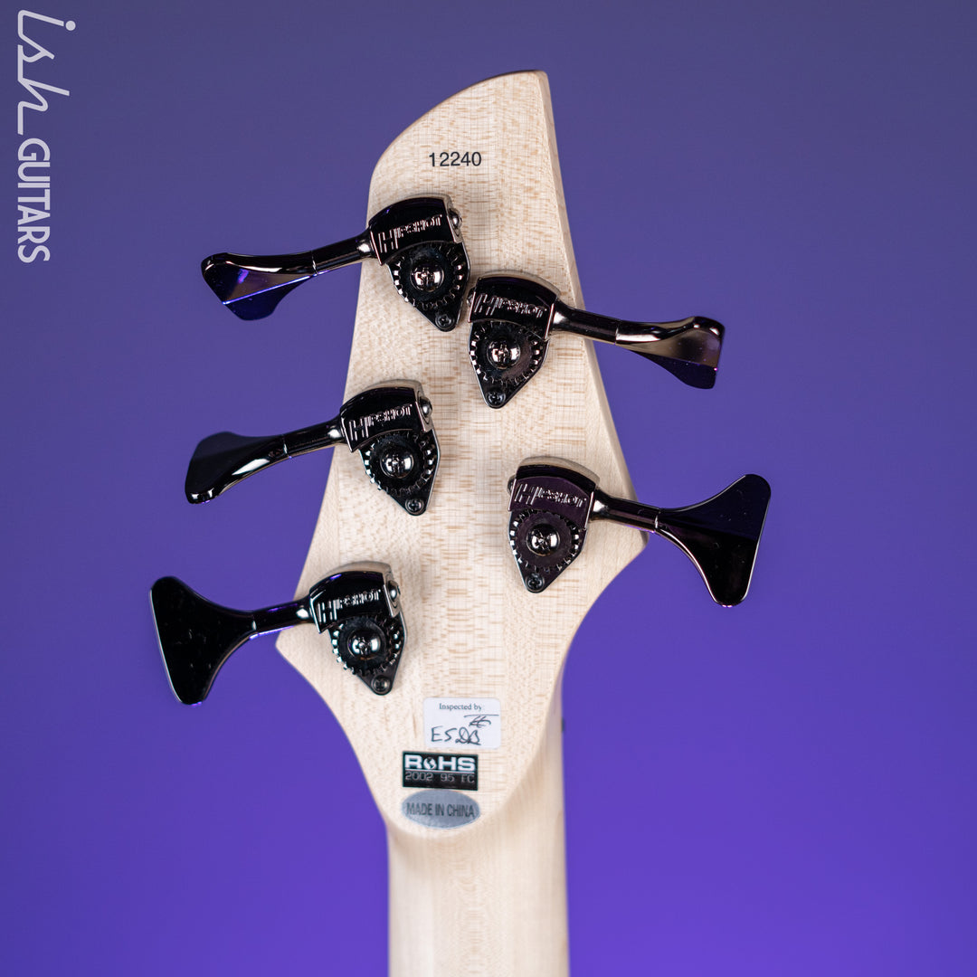 Dingwall Combustion 5-String Bass Whalepoolburst Gloss