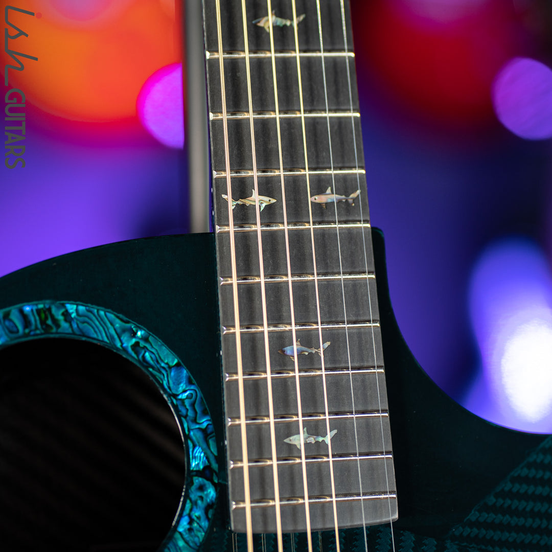 RainSong 25th Anniversary Black Ice Acoustic Guitar