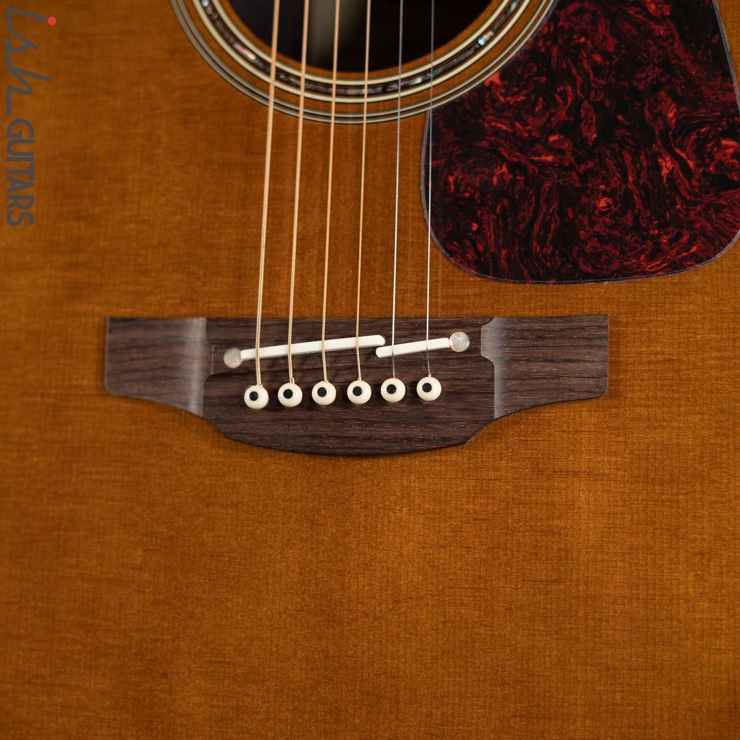 Takamine P5DC Dreadnought Whiskey Brown