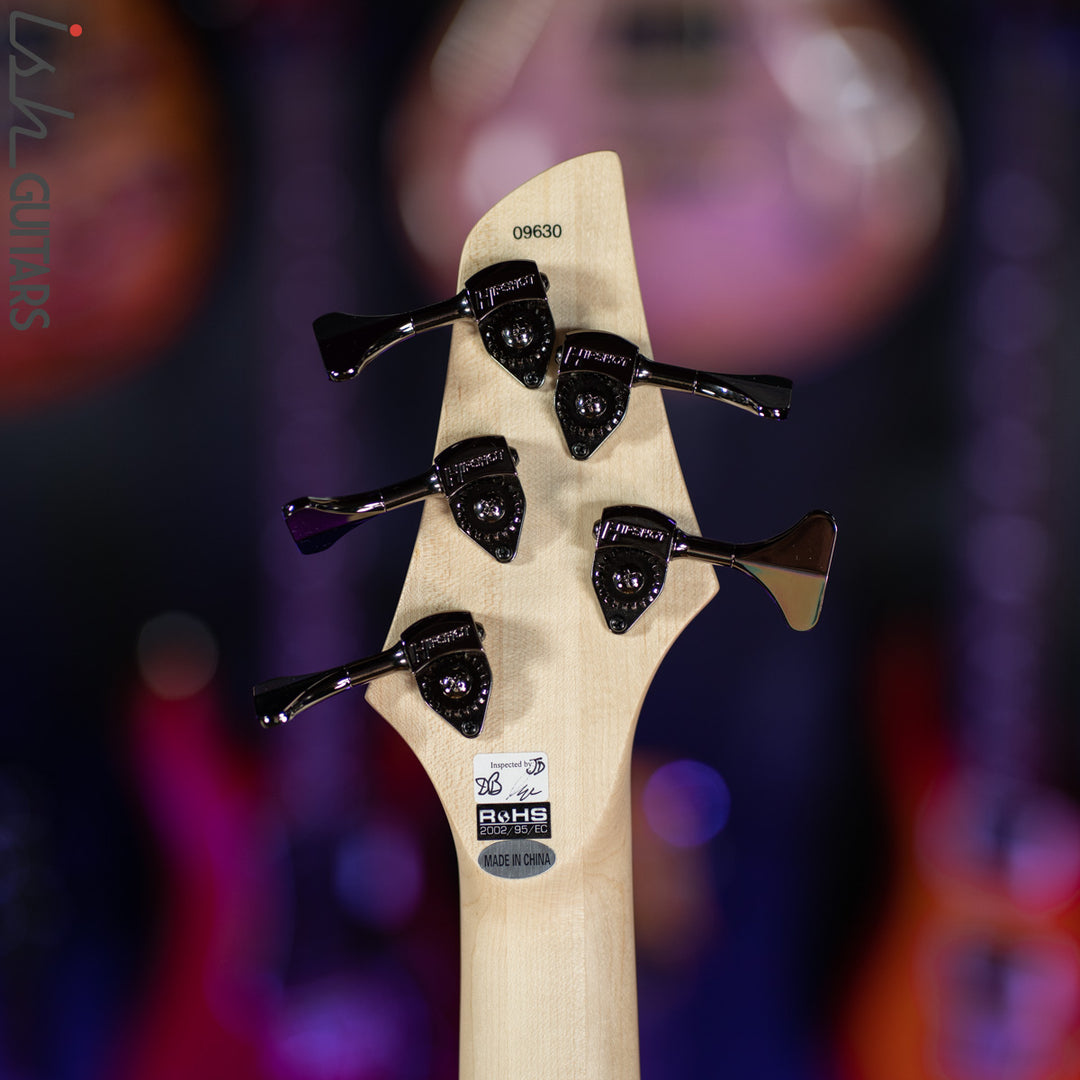 Dingwall Combustion 5-String Natural