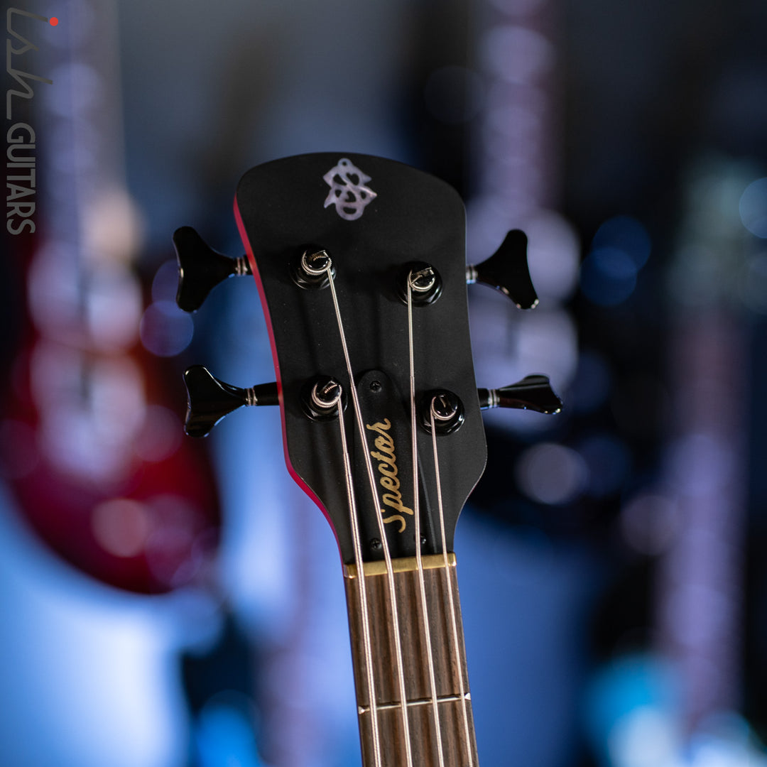 2021 Spector Euro 4X Sanded Black Cherry Matte