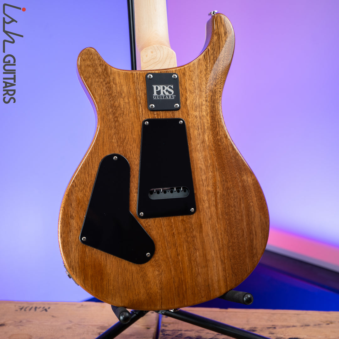 2020 PRS Paul Reed Smith CE 24 Semi Hollow Eriza Verde