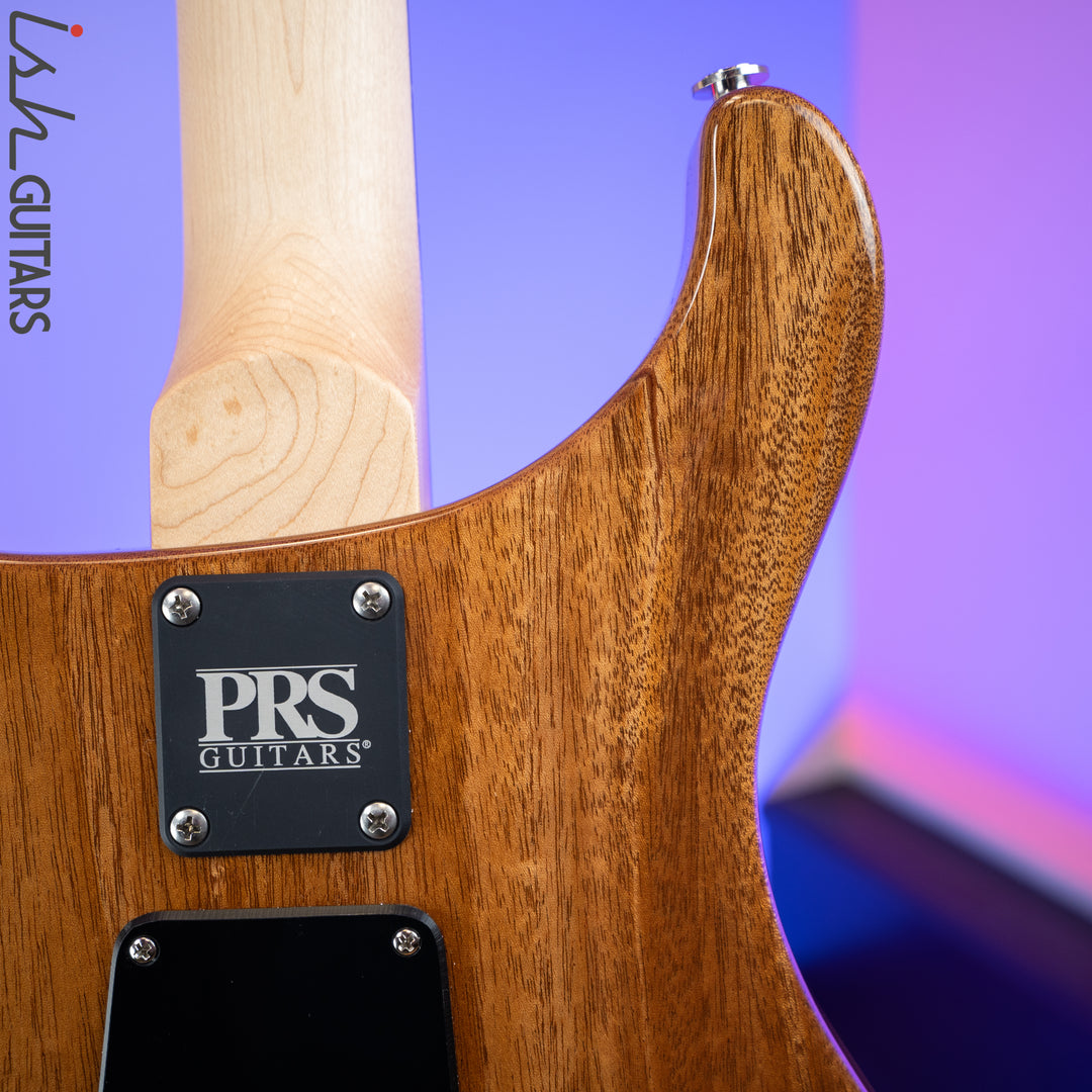 2020 PRS Paul Reed Smith CE 24 Semi Hollow Eriza Verde
