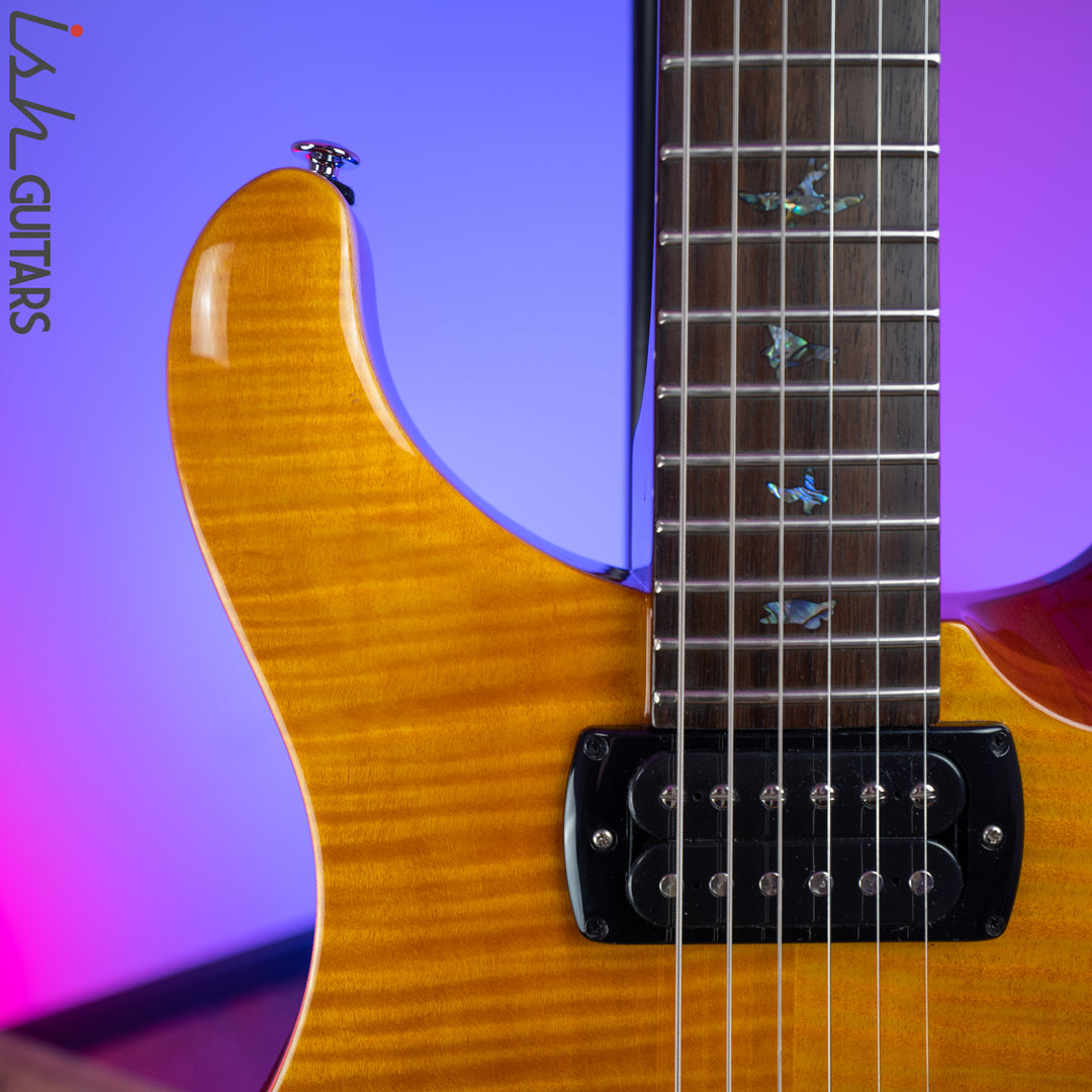 2019 PRS Paul Reed Smith SE Paul&