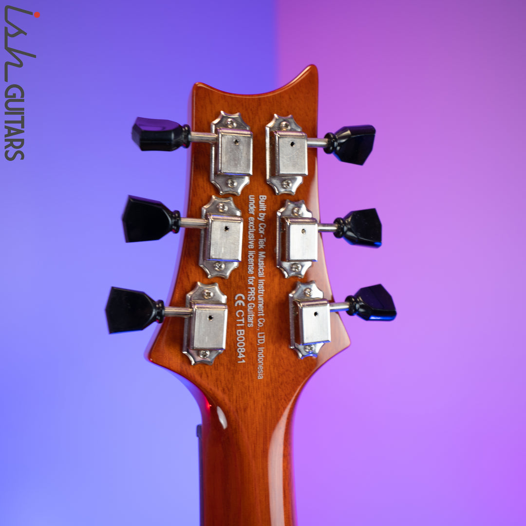 2019 PRS Paul Reed Smith SE Paul&