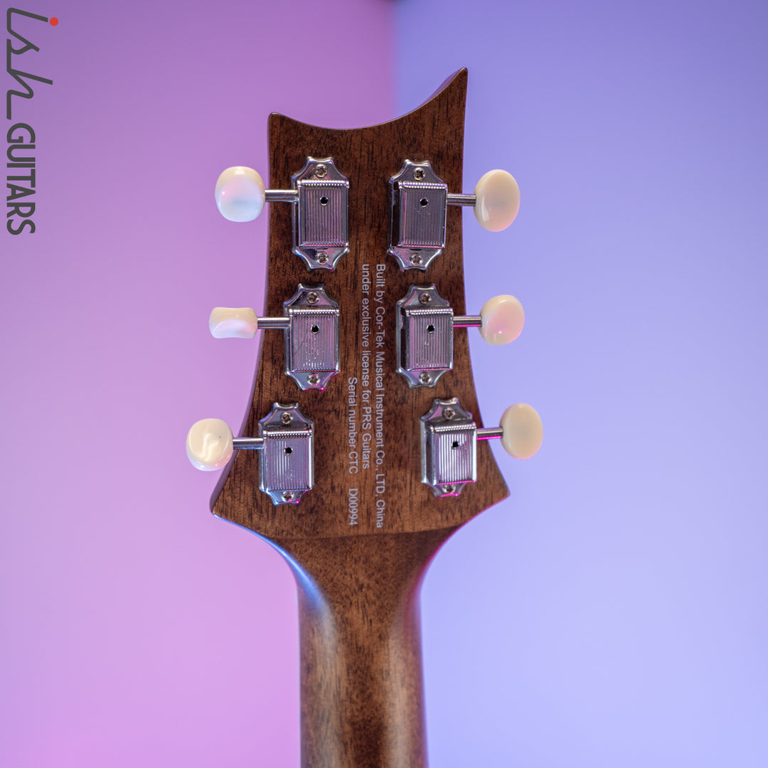 2020 Paul Reed Smith PRS SE P20E Vintage Mahogany