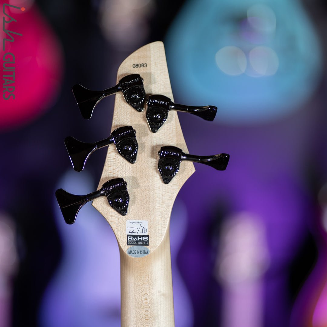 Dingwall Combustion 3 PUP 5-String Natural