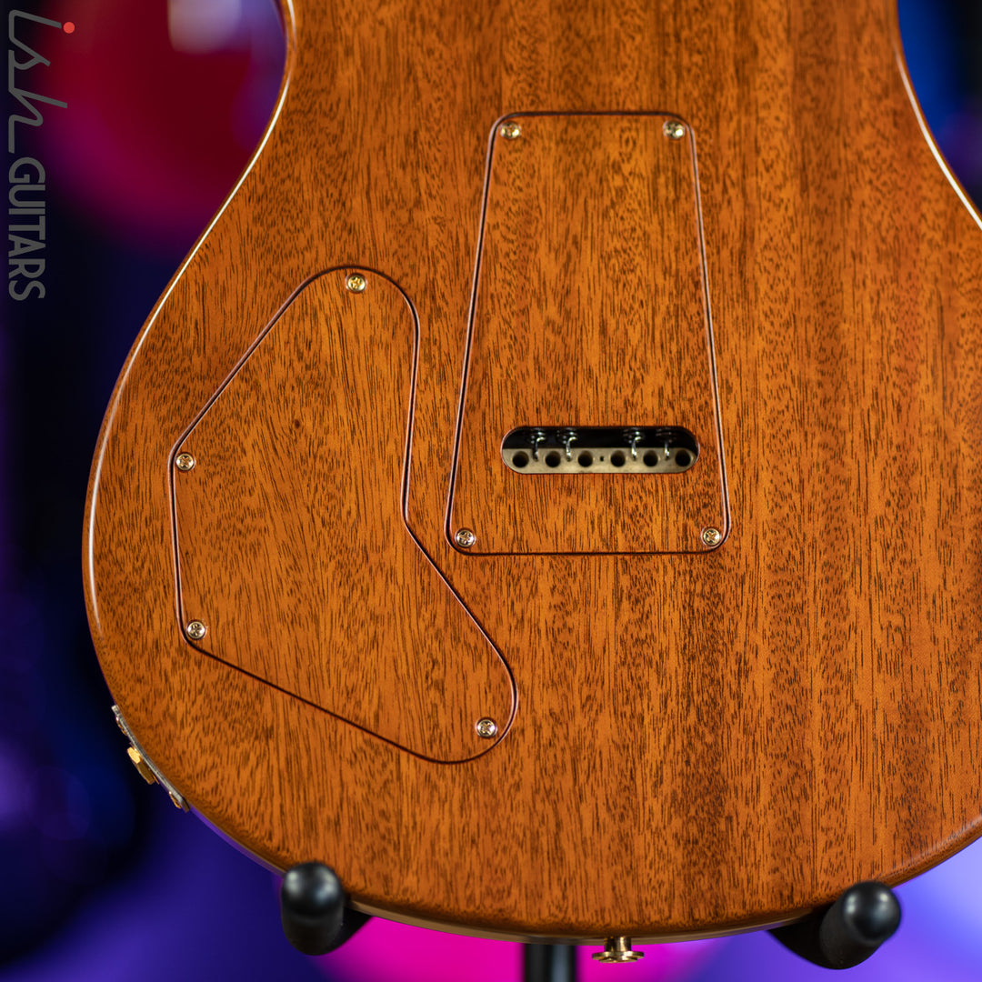 2012 PRS Private Stock DGT Spalted Maple Rosewood Neck Americana Birds