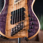 Dingwall Z3 5-String Bass Spalted Maple Purple Canyon Gloss Finish