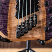 Dingwall Z3 5-String Bass Spalted Maple Purple Canyon Gloss Finish