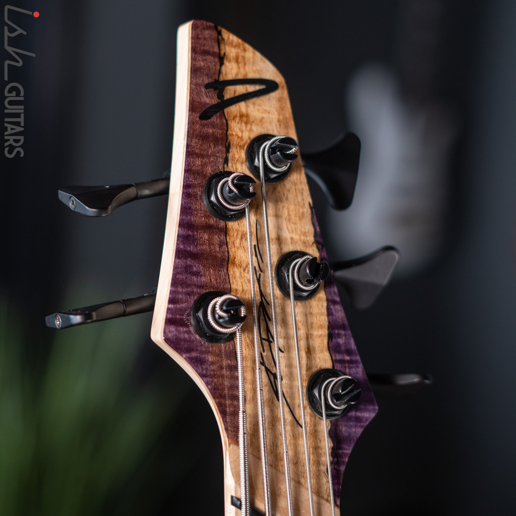 Dingwall Z3 5-String Bass Spalted Maple Purple Canyon Gloss Finish 