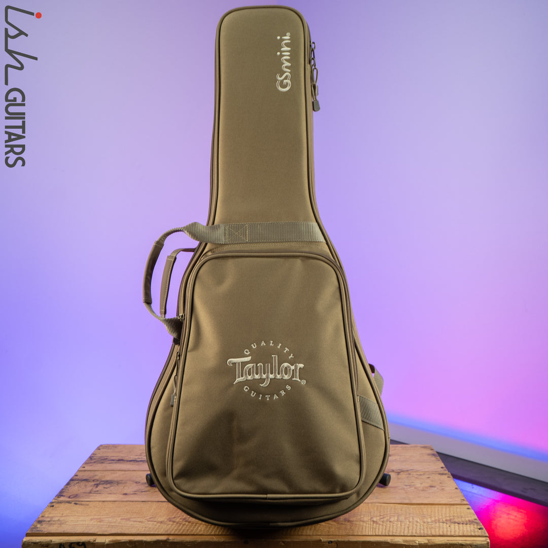 Taylor GS Mini-e Rosewood