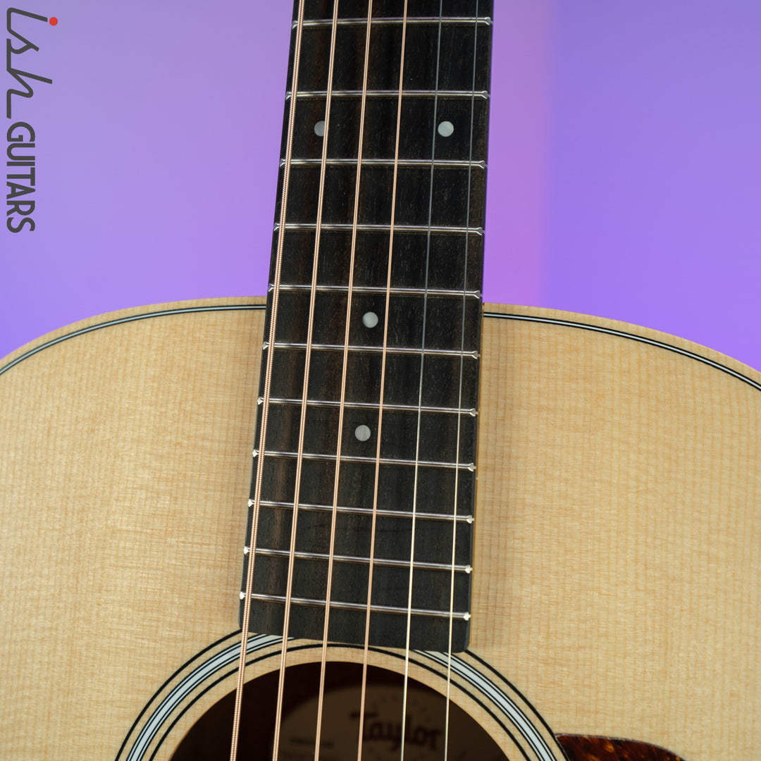 Taylor GS Mini-e Rosewood