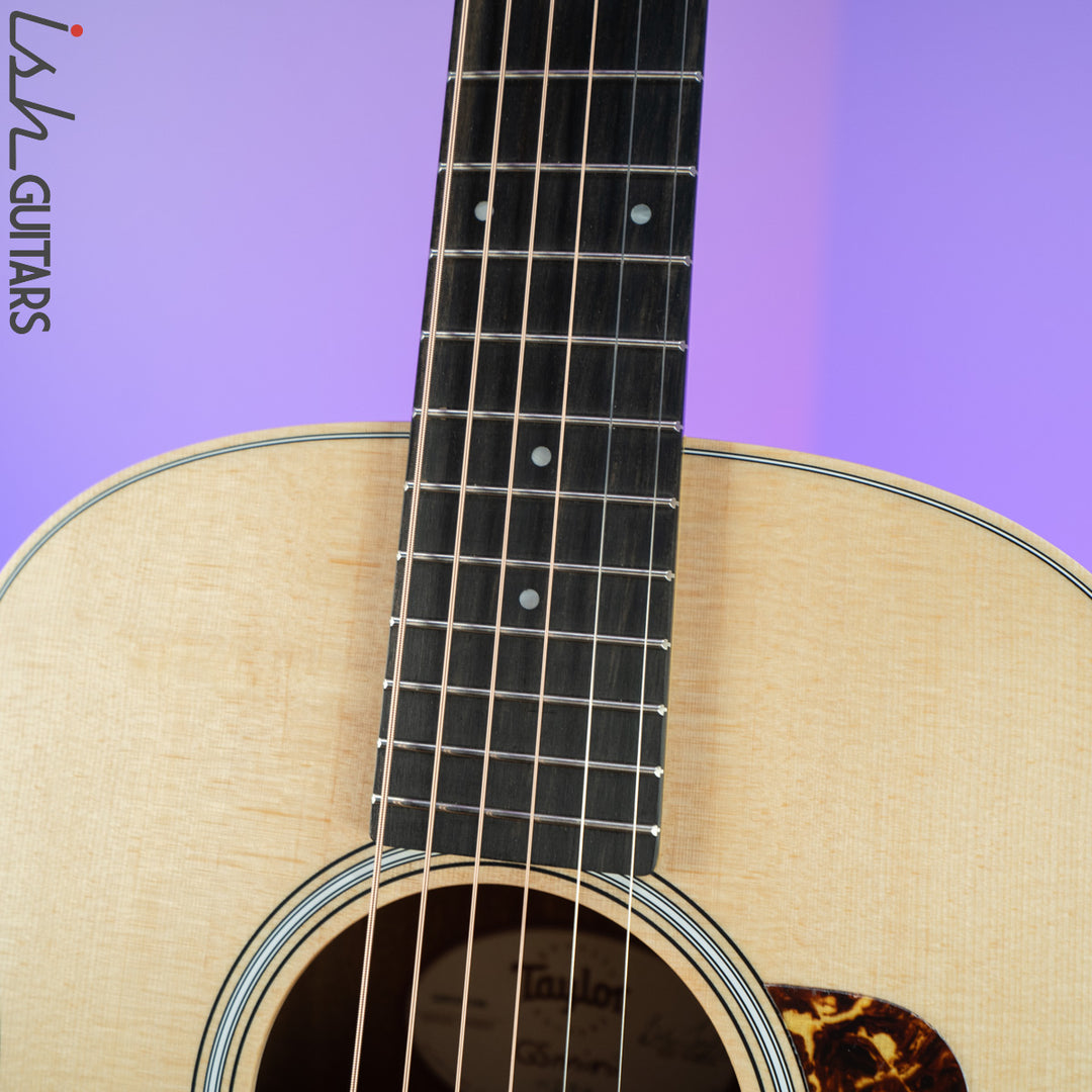 Taylor GS Mini-e Rosewood