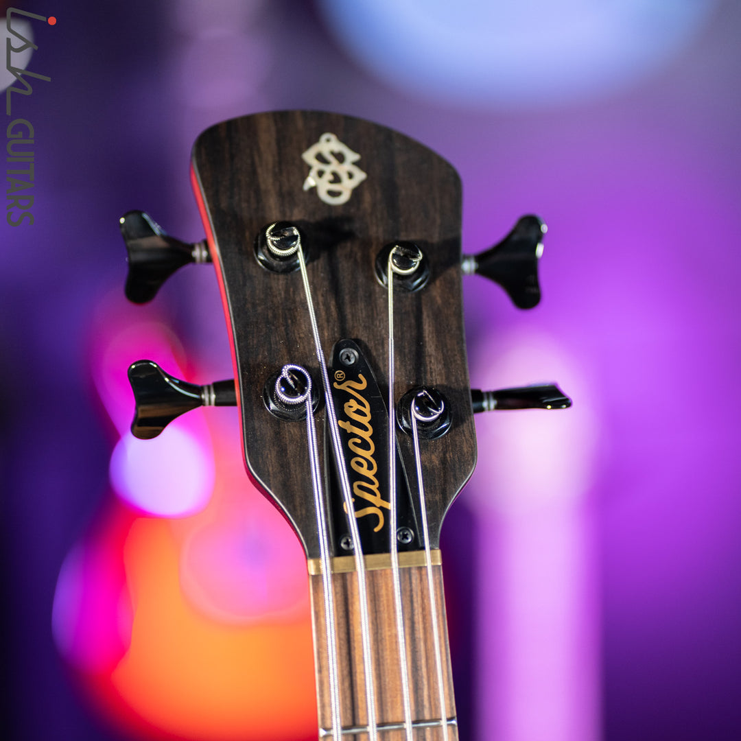 2019 Spector Forte 4 Black Cherry New Old Stock