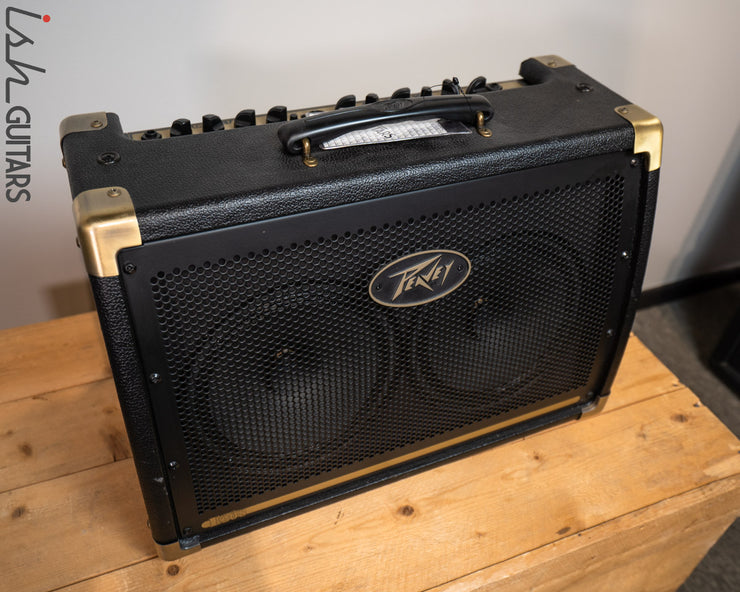Peavey E208 Acoustic Amp – Ish Guitars