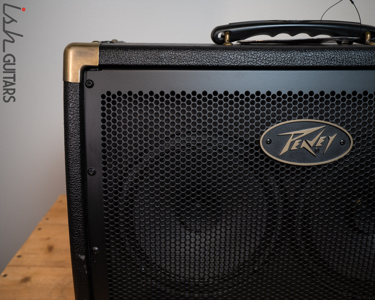 Peavey E208 Acoustic Amp – Ish Guitars