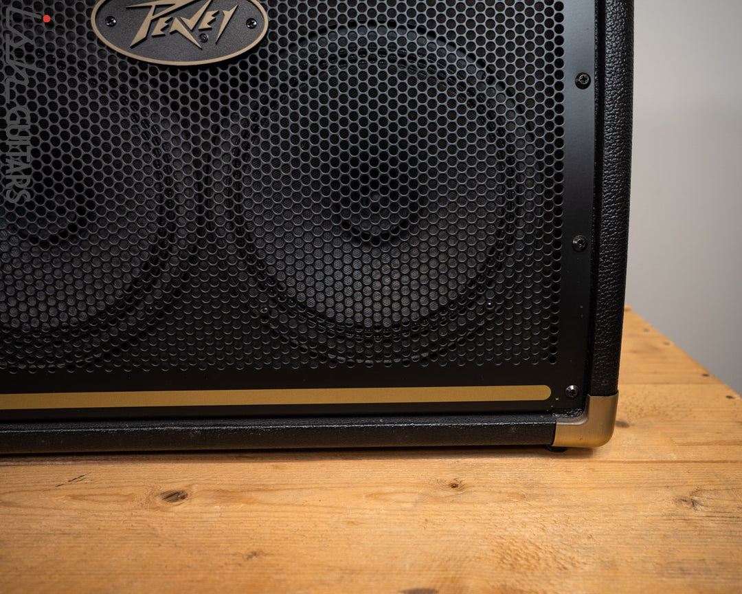 Peavey E208 Acoustic Amp