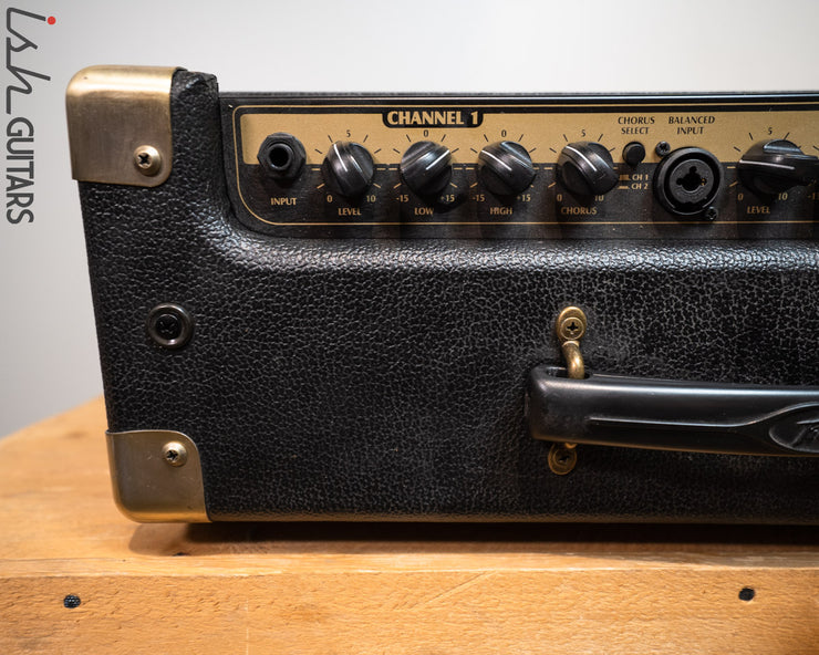 Peavey E208 Acoustic Amp – Ish Guitars