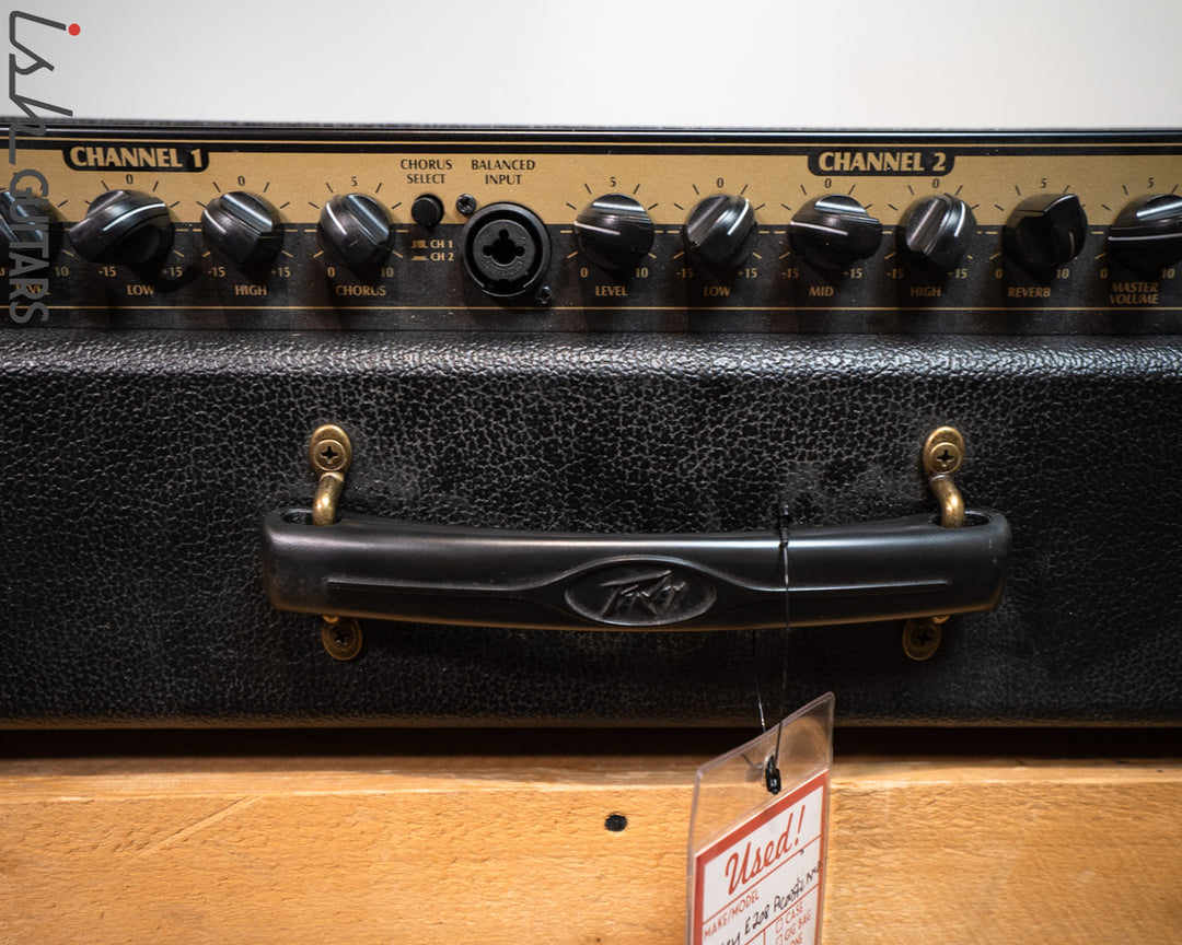 Peavey E208 Acoustic Amp