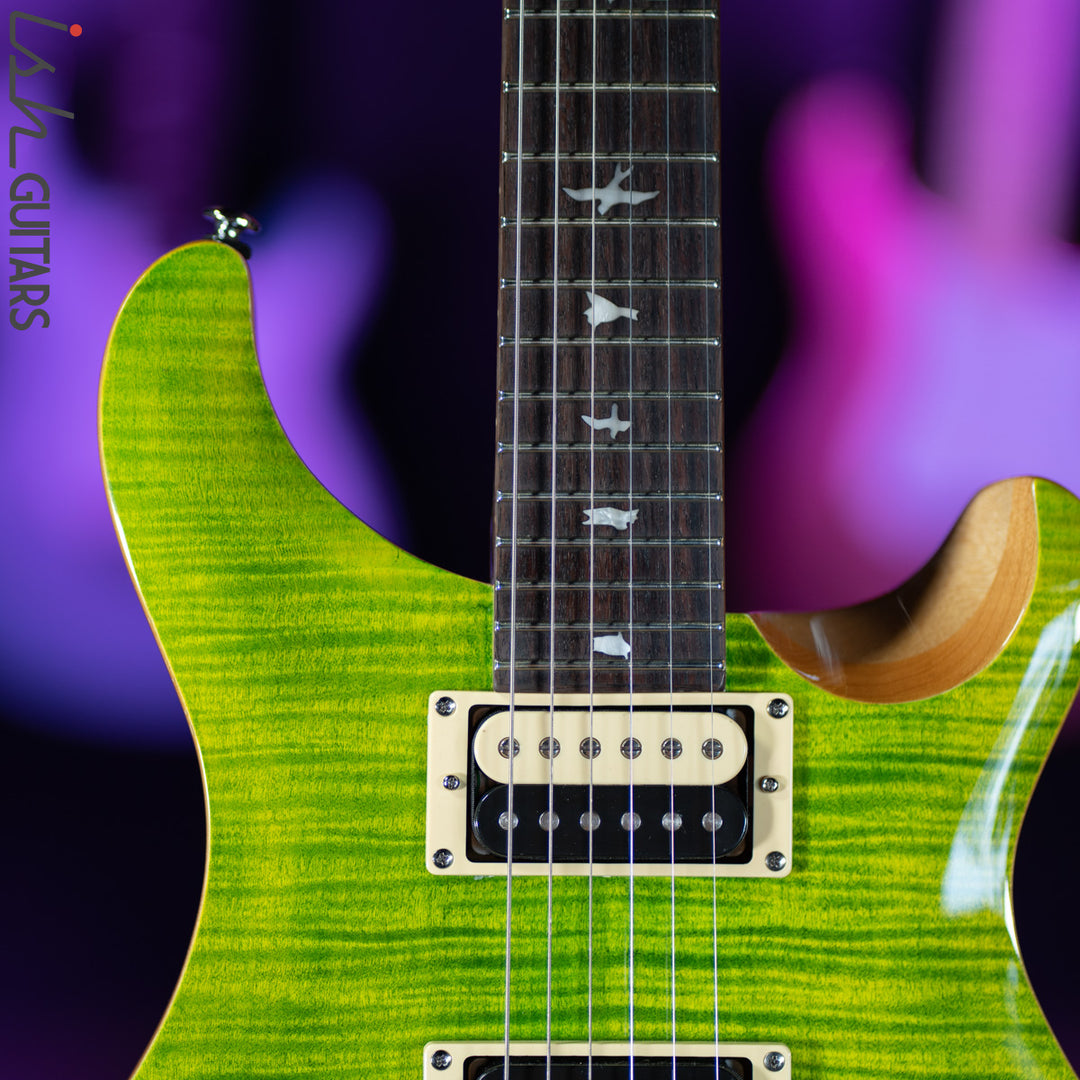 PRS SE Custom 24-08 Eriza Verde