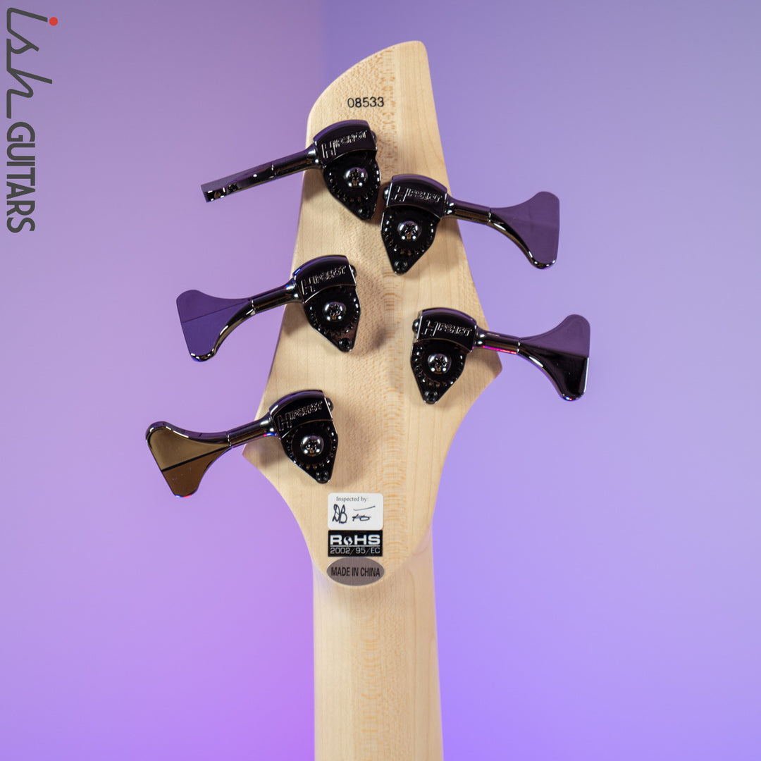 Dingwall Combustion 3 PUP 5-String Natural