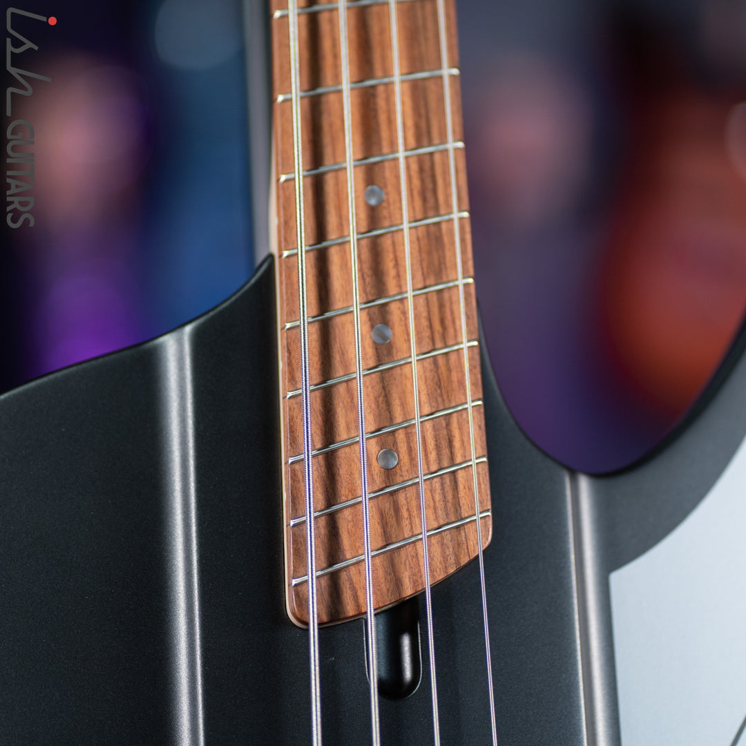 Dingwall D-Roc Standard 4-String Bass Matte Metallic Black
