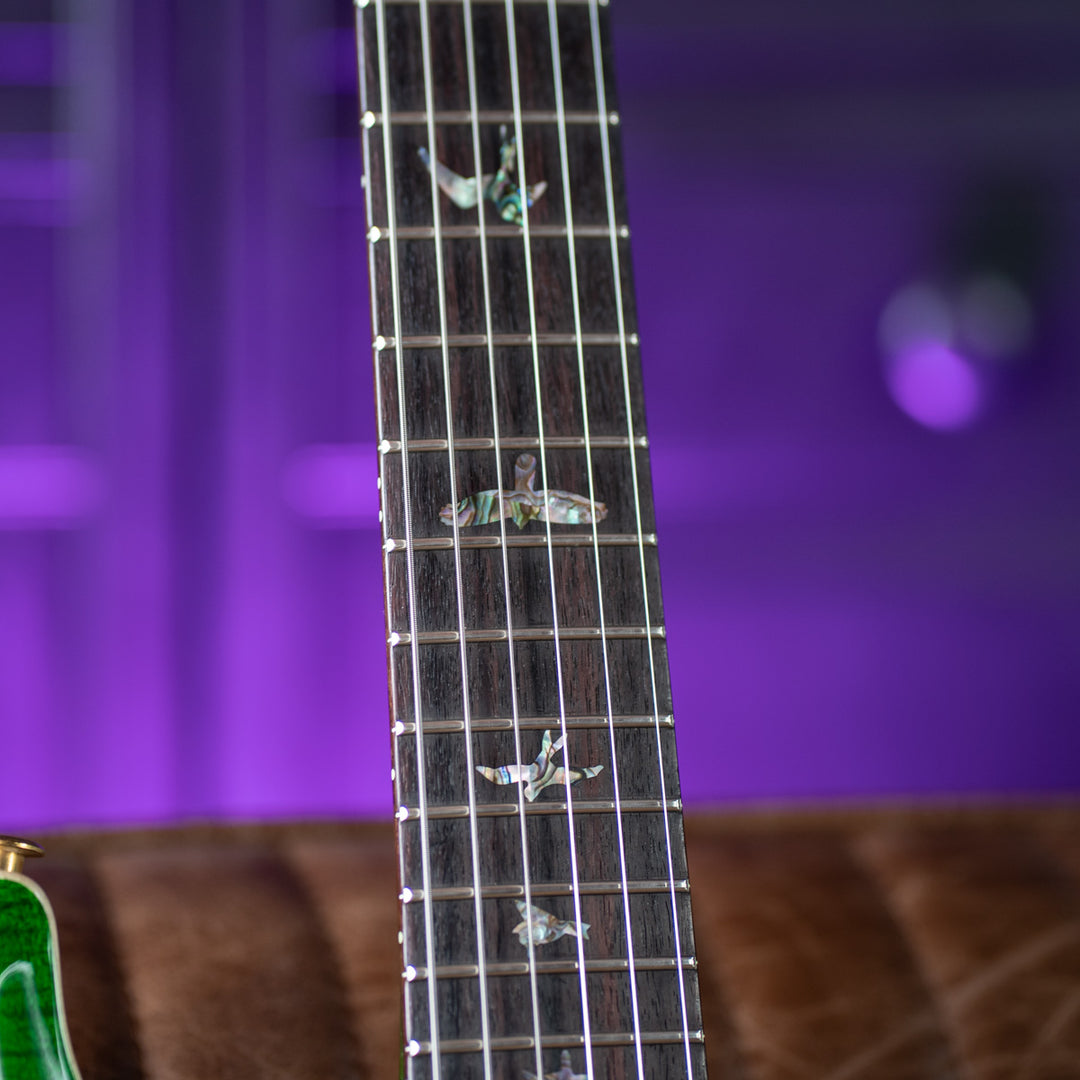PRS 35th Anniversary Custom 24 Eriza Verde w/ Toned Back 10 Top
