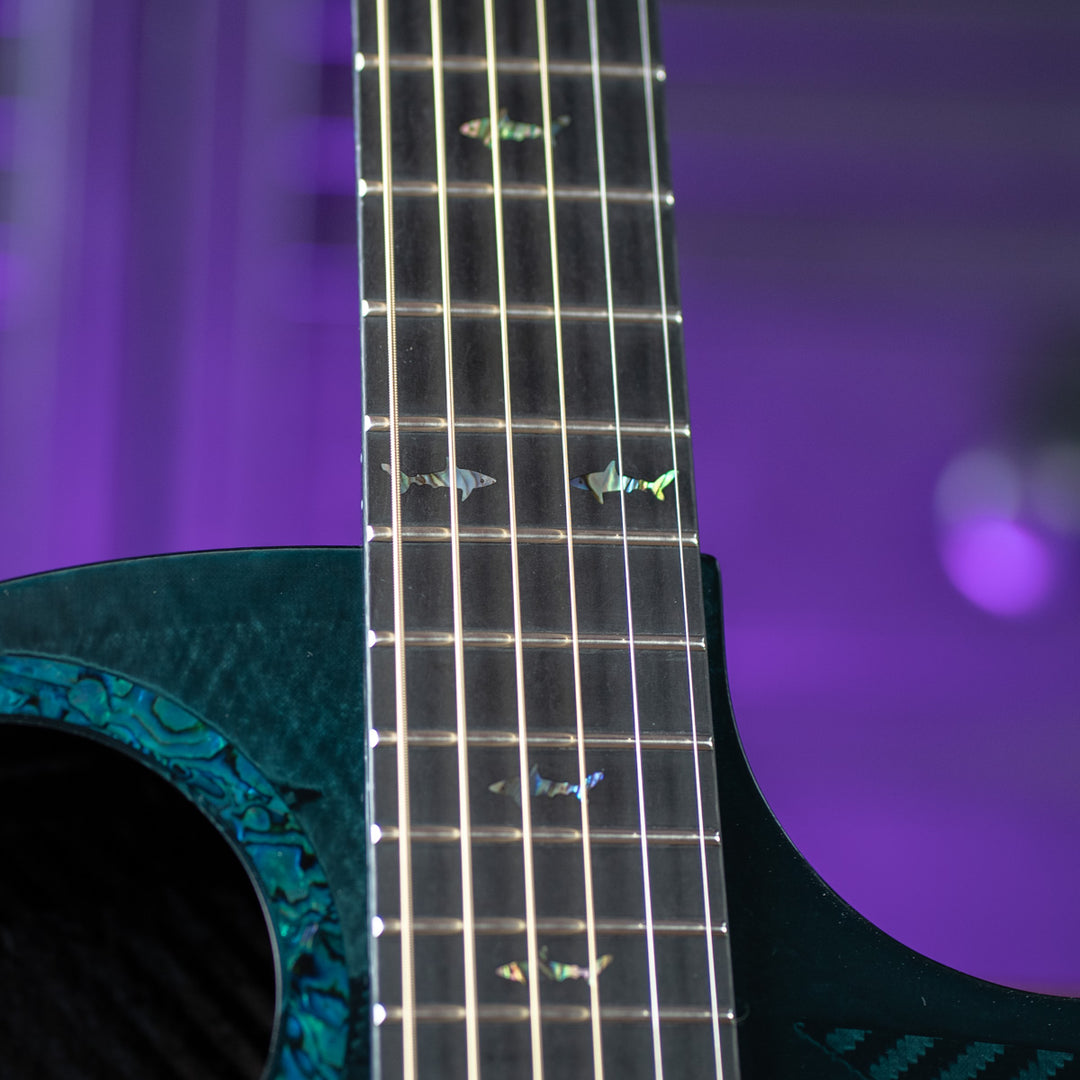 RainSong 25th Anniversary Black Ice Acoustic Guitar