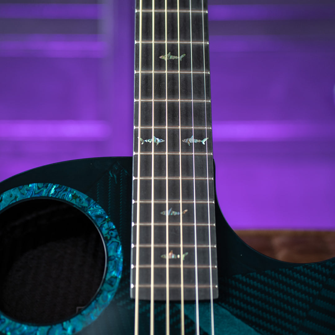 RainSong 25th Anniversary Black Ice Acoustic Guitar