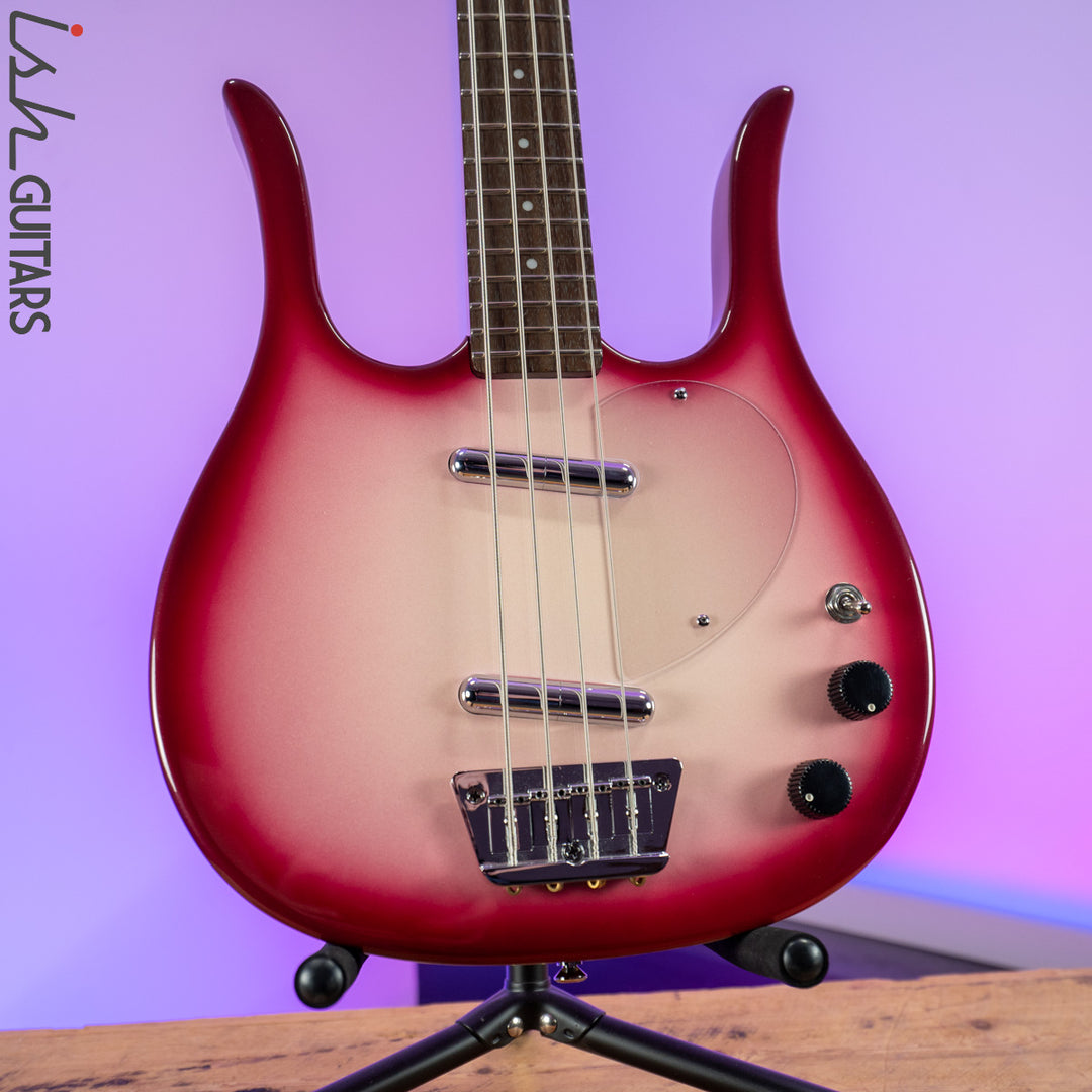 Danelectro Longhorn Bass Violet Burst Prototype