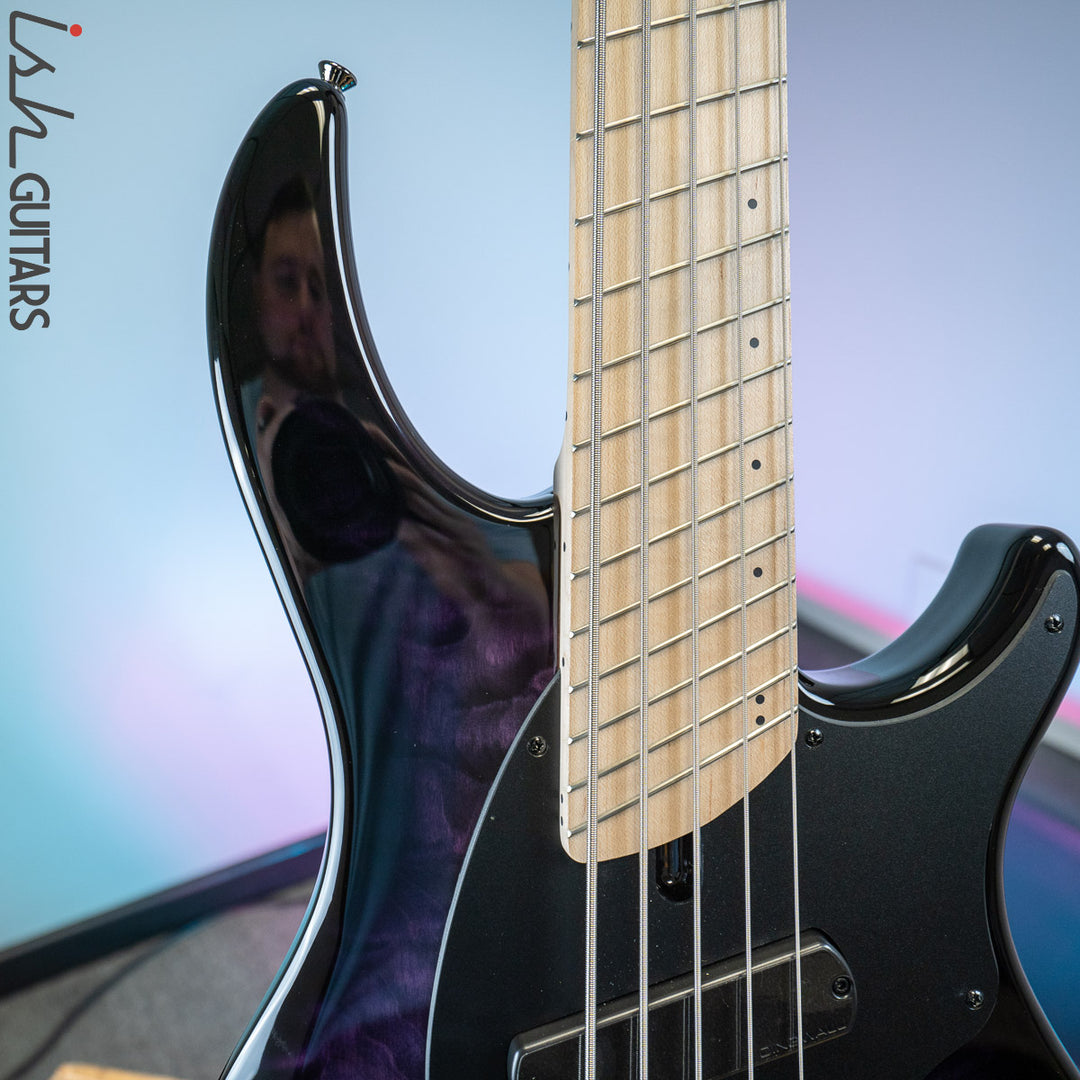 Dingwall 10th Anniversary Combustion 5-String 2 PUP Amethystburst Maple Fretboard