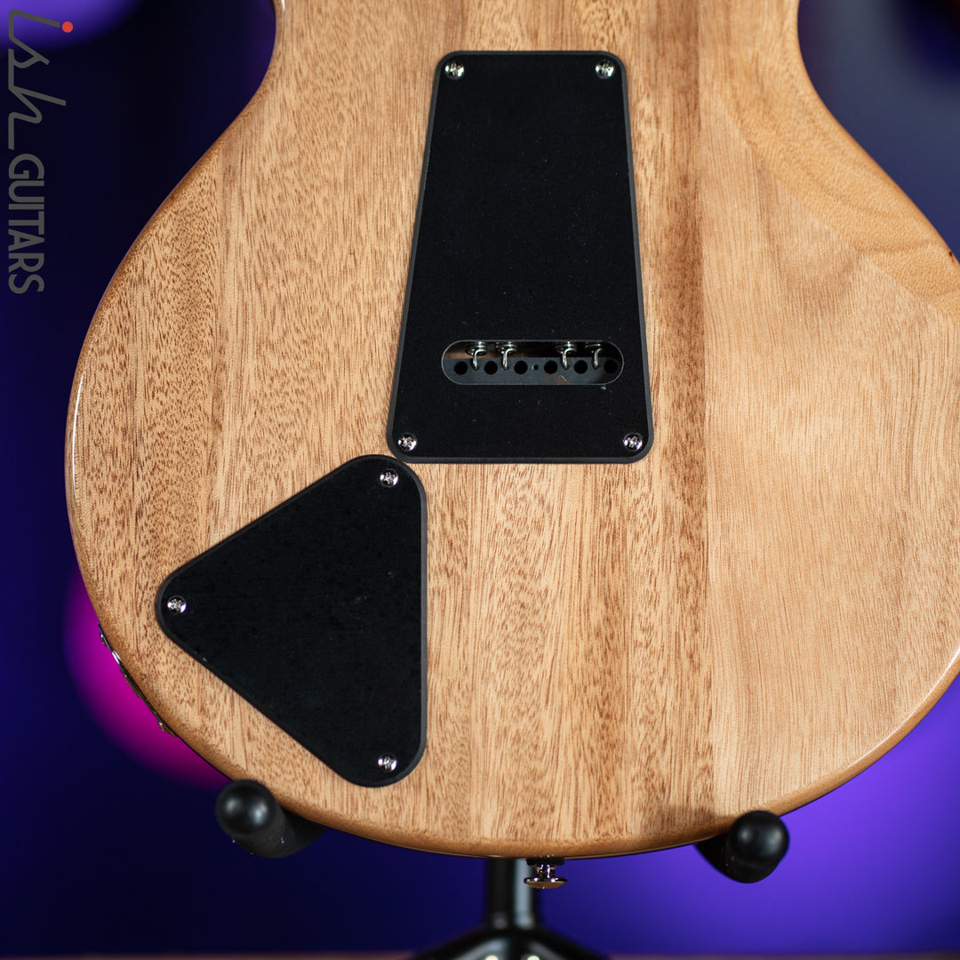 PRS SE Santana Abraxas Limited Edition 50th Anniversary