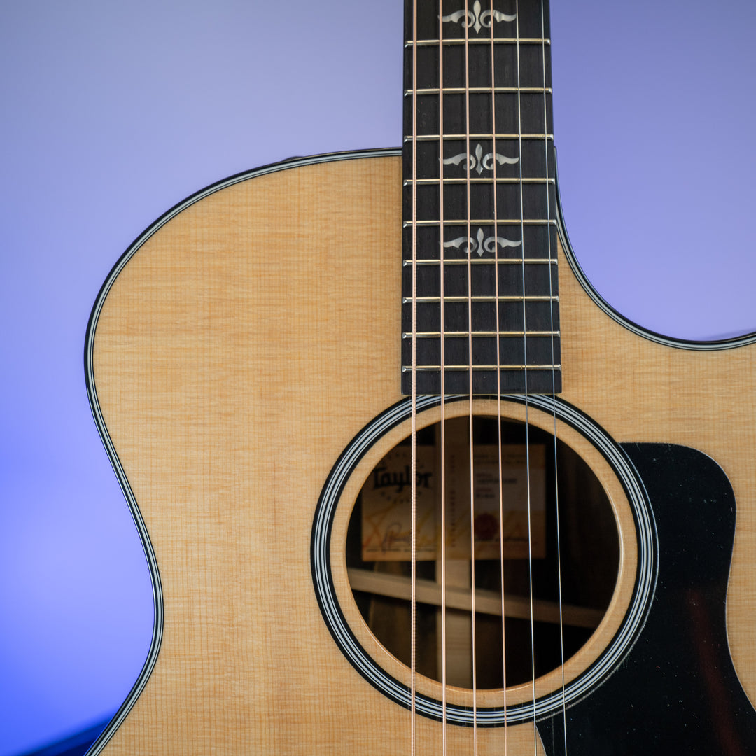 Taylor E14ce LTD Grand Auditorium Spruce/ Striped Ebony