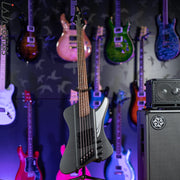 Dingwall D-Roc Standard 5-String Bass Matte Metallic Black