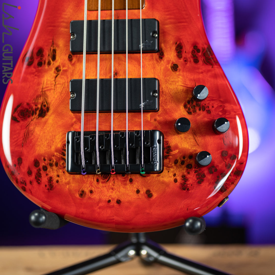 Spector Eurobolt 5 Inferno Red Gloss Poplar Burl Bass Guitar