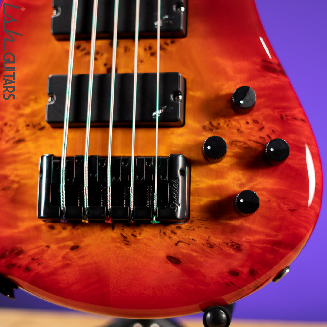 Spector Eurobolt 5 Inferno Red Gloss Poplar Burl Bass Guitar