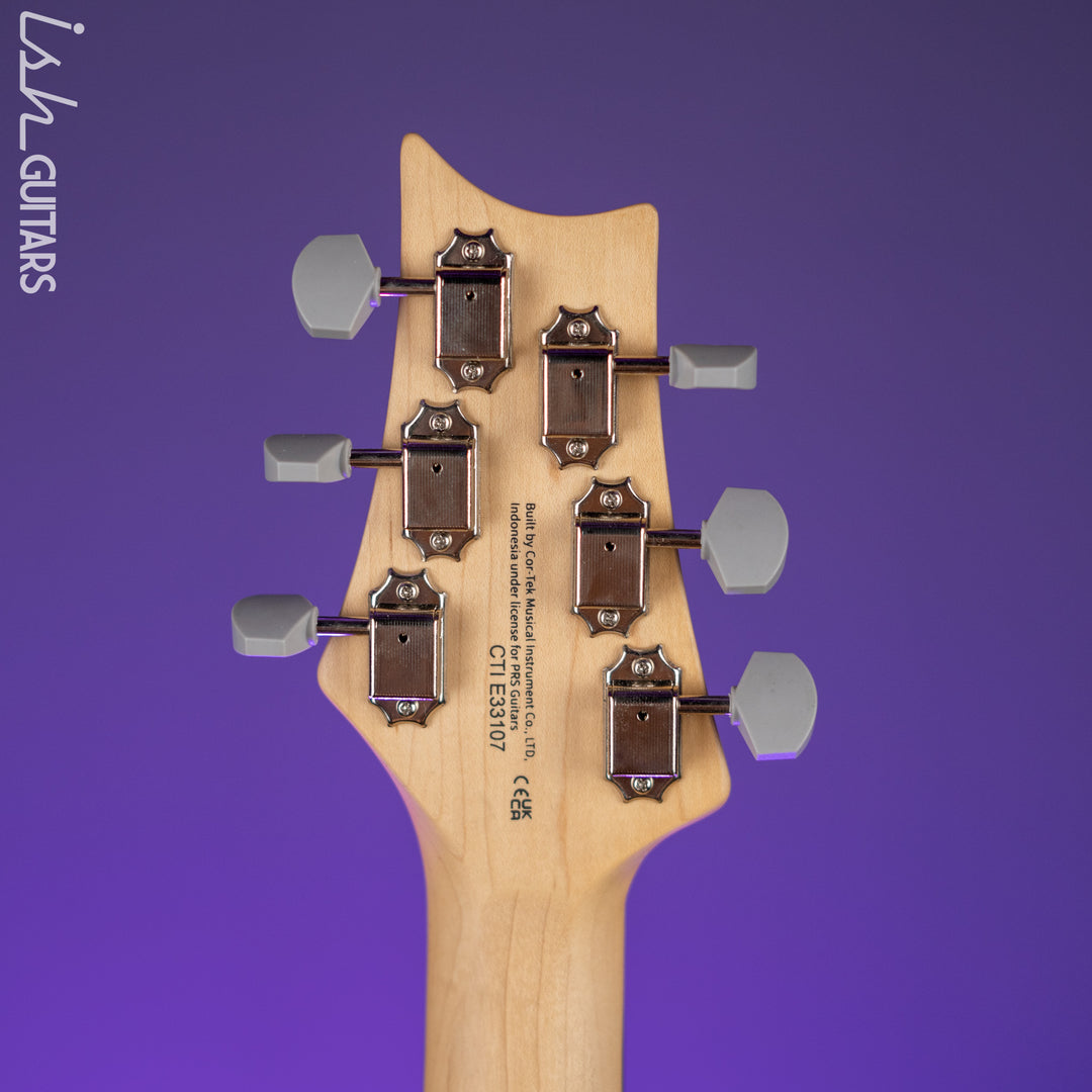 PRS SE Silver Sky Dragon Fruit Demo