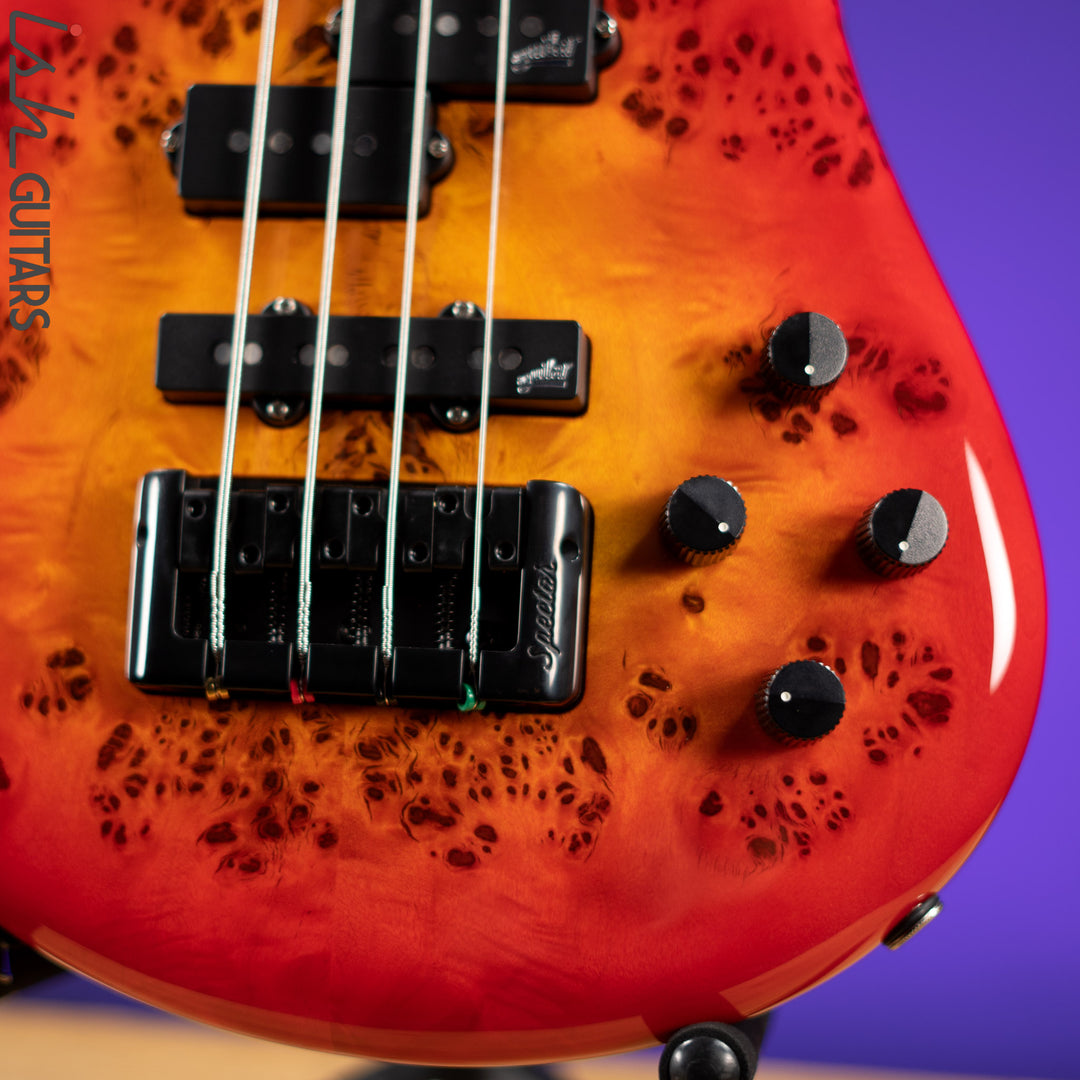 Spector Eurobolt 4 Inferno Red Gloss Poplar Burl Bass Guitar Demo