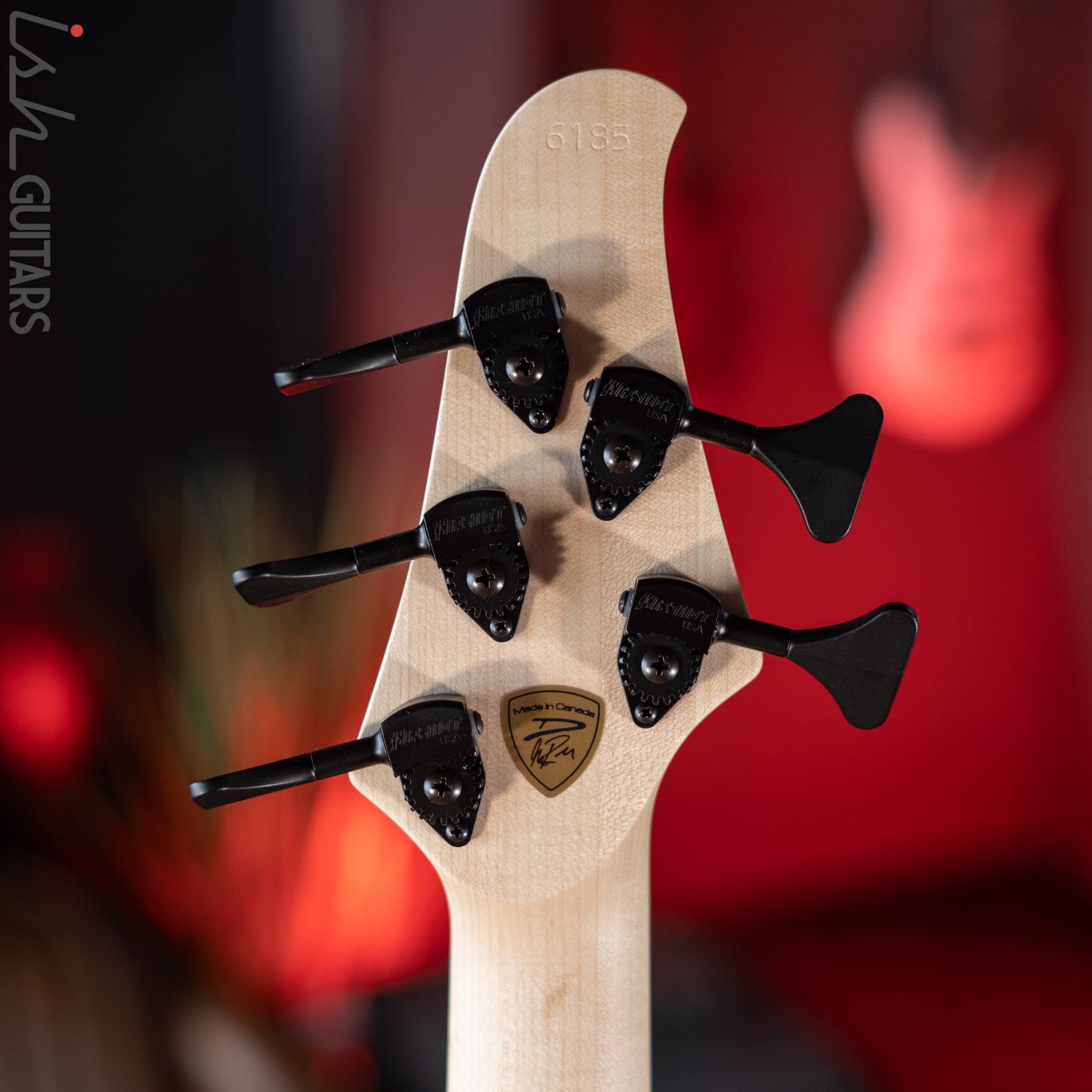 Dingwall D-Roc Custom 5-String Bass Custom Riddler Colorshift