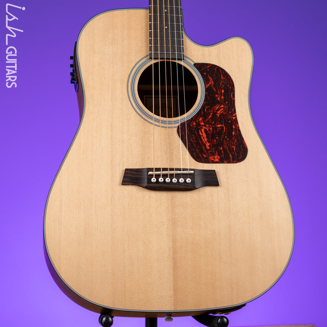2016 Walden D550ce Acoustic-Electric Guitar Natural