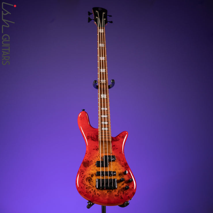 Spector Eurobolt 4 Inferno Red Gloss Poplar Burl Bass Guitar Demo