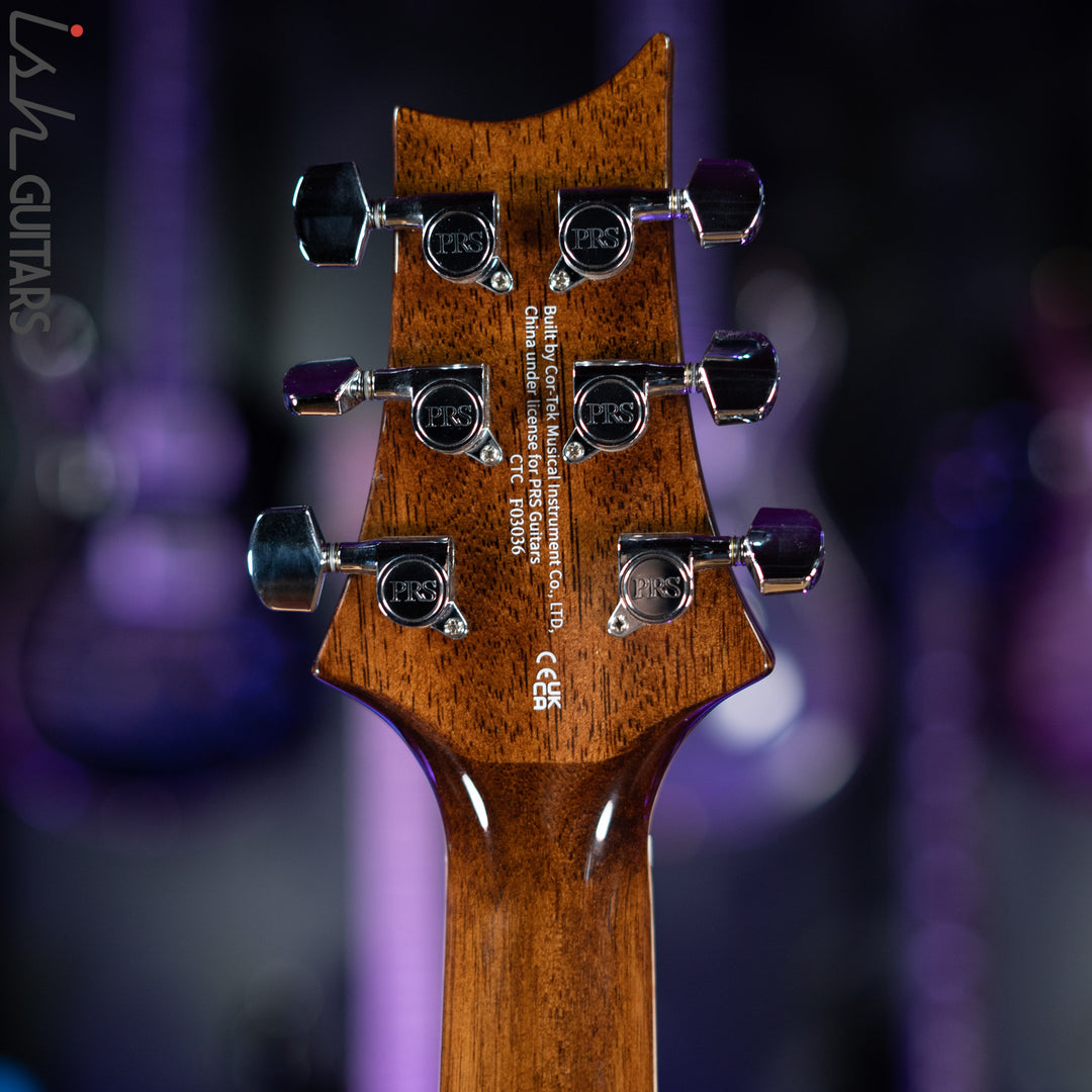 PRS SE A60E Angelus Acoustic Electric Guitar Ziricote