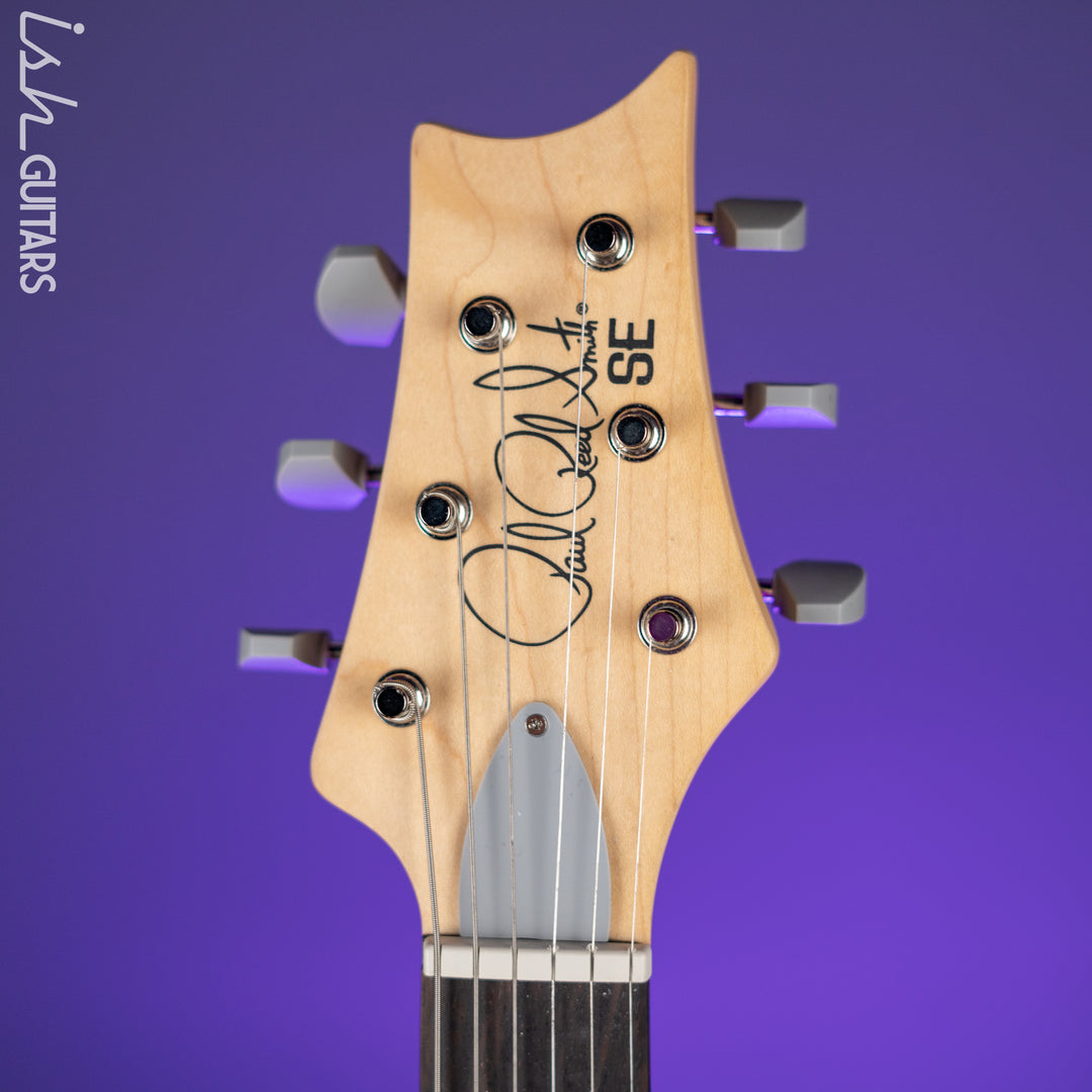 PRS SE Silver Sky Dragon Fruit Demo
