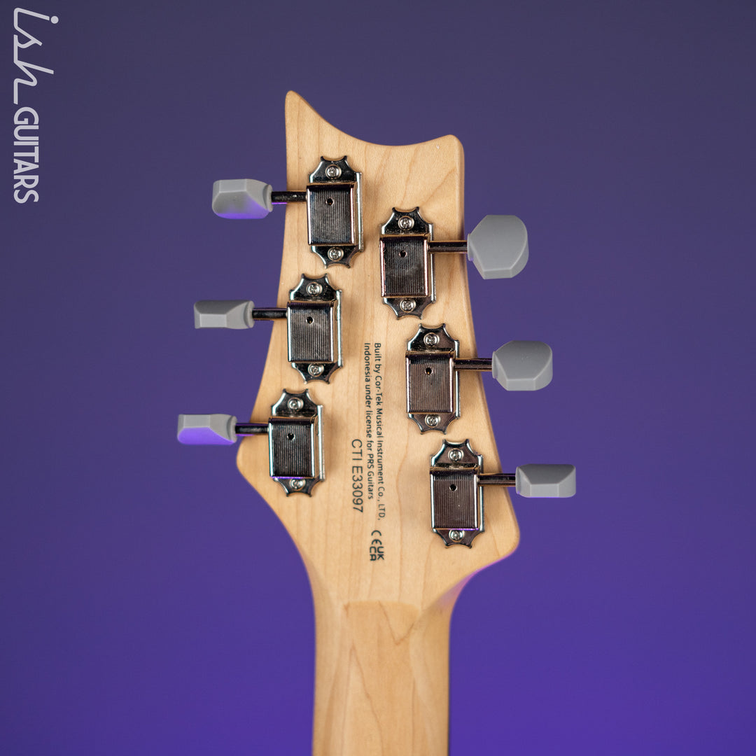 PRS SE Silver Sky Dragon Fruit Demo