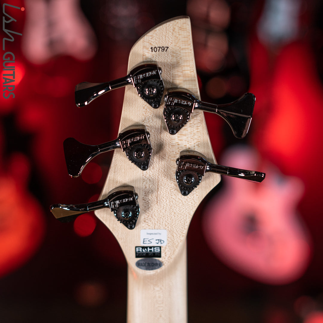 Dingwall Combustion 5-String Bass Whalepoolburst