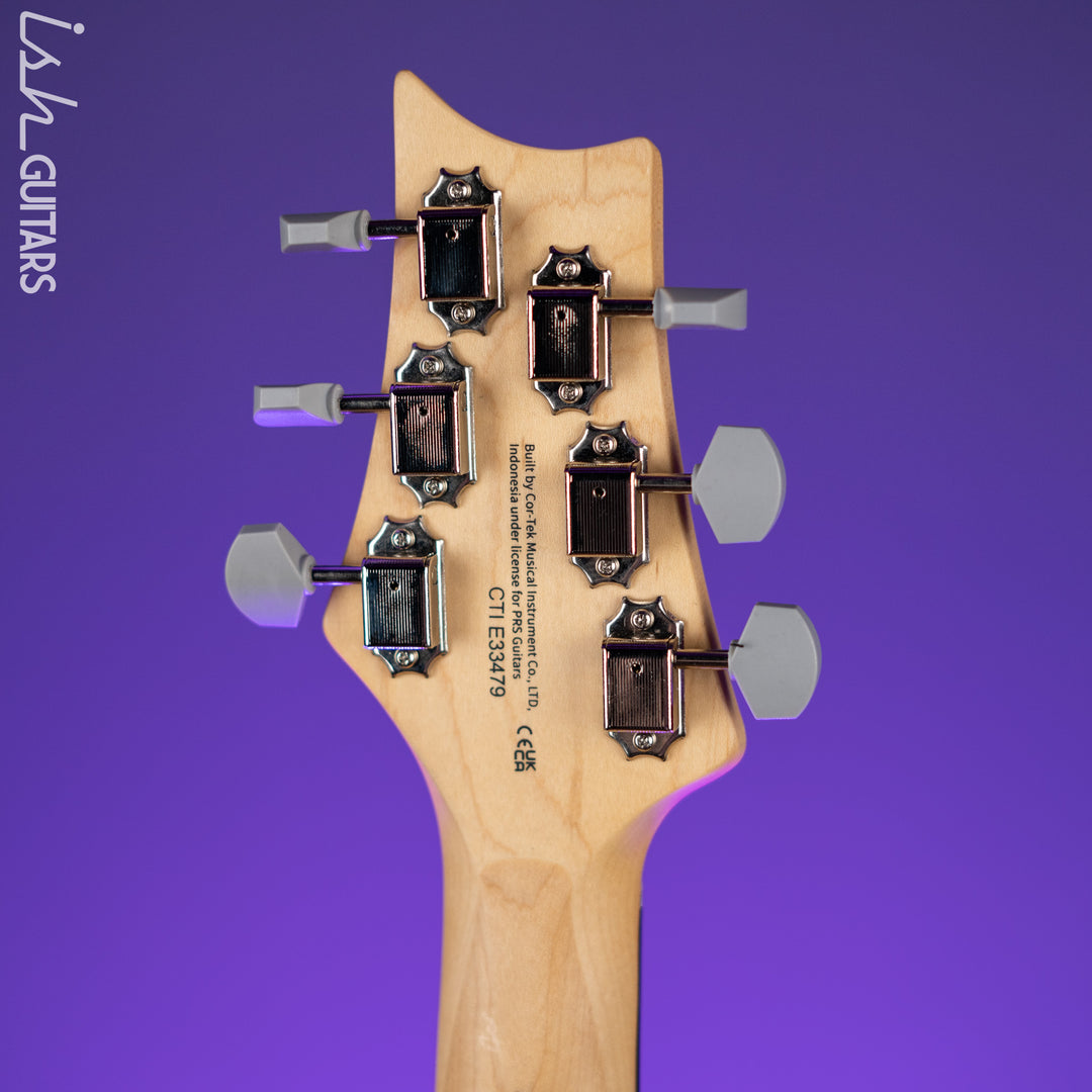 PRS SE Silver Sky Dragon Fruit Demo